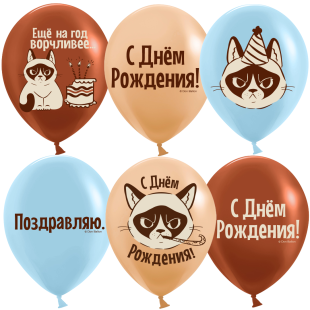 Шар (12''/30 см) С Днем Рождения! (сердитая кошка), Ассорти, пастель, 2 ст, 25 шт.